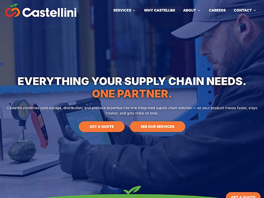 A screenshot of the Castellini website homepage